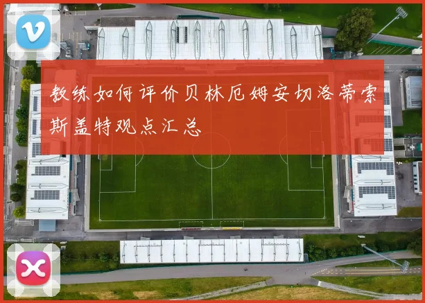 教练如何评价贝林厄姆安切洛蒂索斯盖特观点汇总